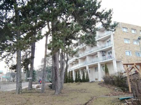 Rege út