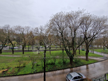 Szilágyi Erzsébet fasor-budapest-ii-kerulet-szilagyi-erzsebet-fasor_24.jpg