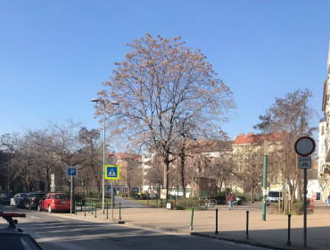 Szerdahelyi utca-budapest-viii-kerulet-szerdahelyi-utca_10.jpg