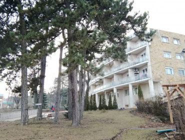 Rege út