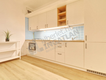 Vásárhelyi Pál utca-budapest-xi-kerulet-vasarhelyi-pal-utca_4.jpg