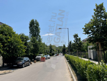 Rupphegyi út-budapest-xi-kerulet-rupphegyi-ut_9.jpg