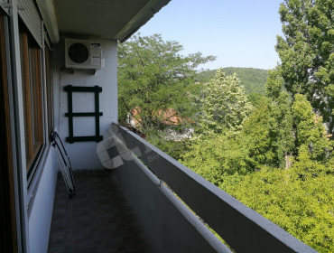 Zöldlomb utca-budapest-ii-kerulet-zoldlomb-utca_1.jpg