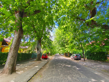 Bercsényi utca-budapest-xix-kerulet-bercsenyi-utca_29.jpg