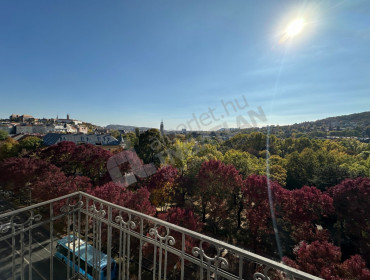 Szilágyi Erzsébet fasor-budapest-ii-kerulet-szilagyi-erzsebet-fasor_10.jpg