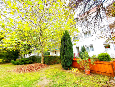 Beckó utca-budapest-xiv-kerulet-becko-utca_7.jpg