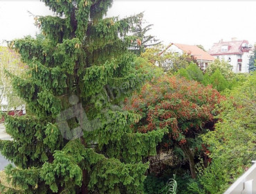 Ali utca-budapest-ii-kerulet-ali-utca_14.jpg