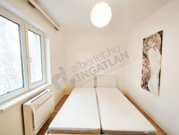 Ali utca-budapest-ii-kerulet-ali-utca_40.jpg