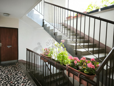 Ali utca-budapest-ii-kerulet-ali-utca_43.jpg