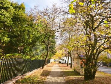 Ali utca-budapest-ii-kerulet-ali-utca_44.jpg