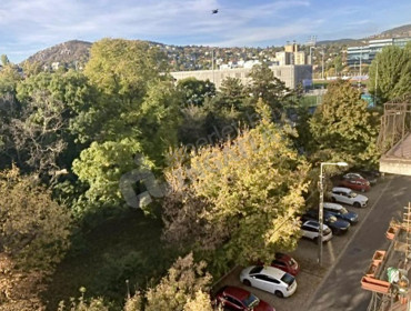 Csörsz utca-budapest-xii-kerulet-csorsz-utca_18.jpg