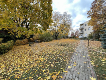 Tündér utca-budapest-xii-kerulet-tunder-utca_16.jpg