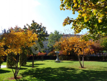 Kapás utca-budapest-ii-kerulet-kapas-utca_6.jpg