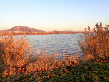 Kőris utca-biatorbagy-koris-utca_17.jpg