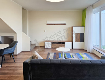 Röppentyű utca-budapest-xiii-kerulet-roppentyu-utca_19.jpg