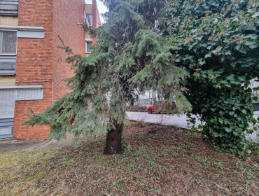 Szirtes út-budapest-i-kerulet-szirtes-ut_17.jpg