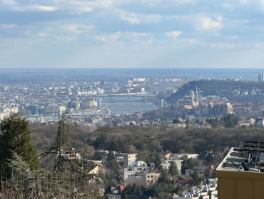 Szalamandra köz-budapest-ii-kerulet-szalamandra-koz_29.jpg