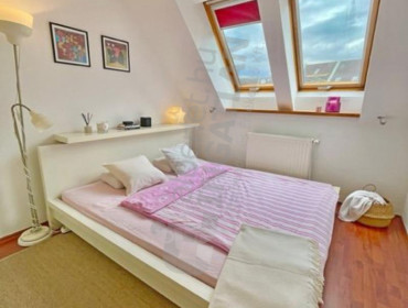 Páva utca-budapest-ix-kerulet-pava-utca_14.jpg