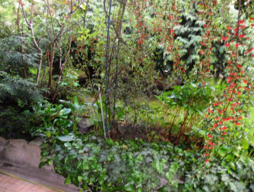 Gyimes utca-budapest-xii-kerulet-gyimes-utca_13.jpg