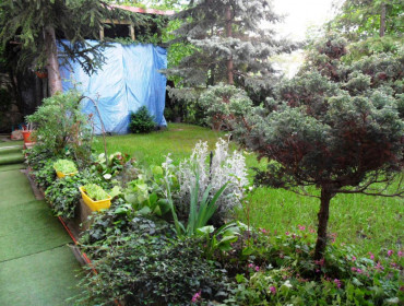 Gyimes utca-budapest-xii-kerulet-gyimes-utca_14.jpg