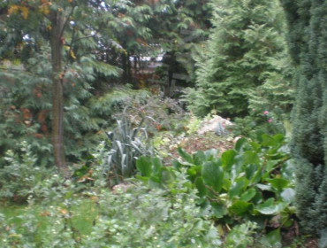 Gyimes utca-budapest-xii-kerulet-gyimes-utca_6.jpg