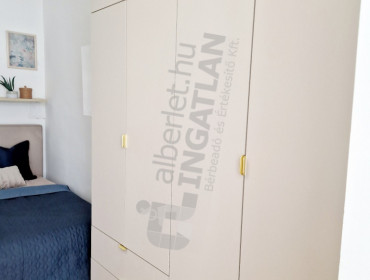 Korányi Sándor utca-budapest-viii-kerulet-koranyi-sandor-utca_8.jpg