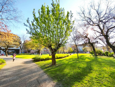 Diószegi Sámuel utca-budapest-viii-kerulet-dioszegi-samuel-utca_9.jpg