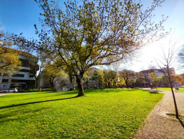 Illés utca-budapest-viii-kerulet-illes-utca_28.jpg