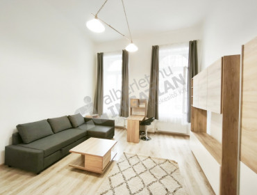 Nagy Fuvaros utca-budapest-viii-kerulet-nagy-fuvaros-utca_11.jpg