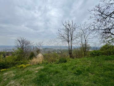 Melinda út-budapest-xii-kerulet-melinda-ut_14.jpg