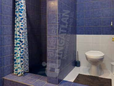 István utca-budapest-vii-kerulet-istvan-utca_17.jpg