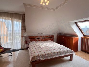 Szalamandra út-budapest-ii-kerulet-szalamandra-ut_7.jpg