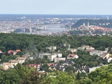 Szalamandra út-budapest-ii-kerulet-szalamandra-ut_9.jpg