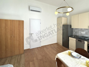 Damjanich utca-budapest-vii-kerulet-damjanich-utca_5.jpg