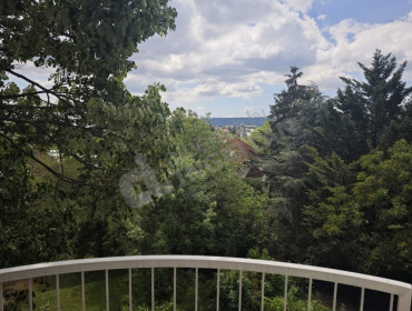 Cseppkő utca-budapest-ii-kerulet-cseppko-utca_8.jpg